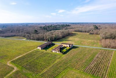 Sale Wine estate Bordeaux 12 Rooms 200 m²