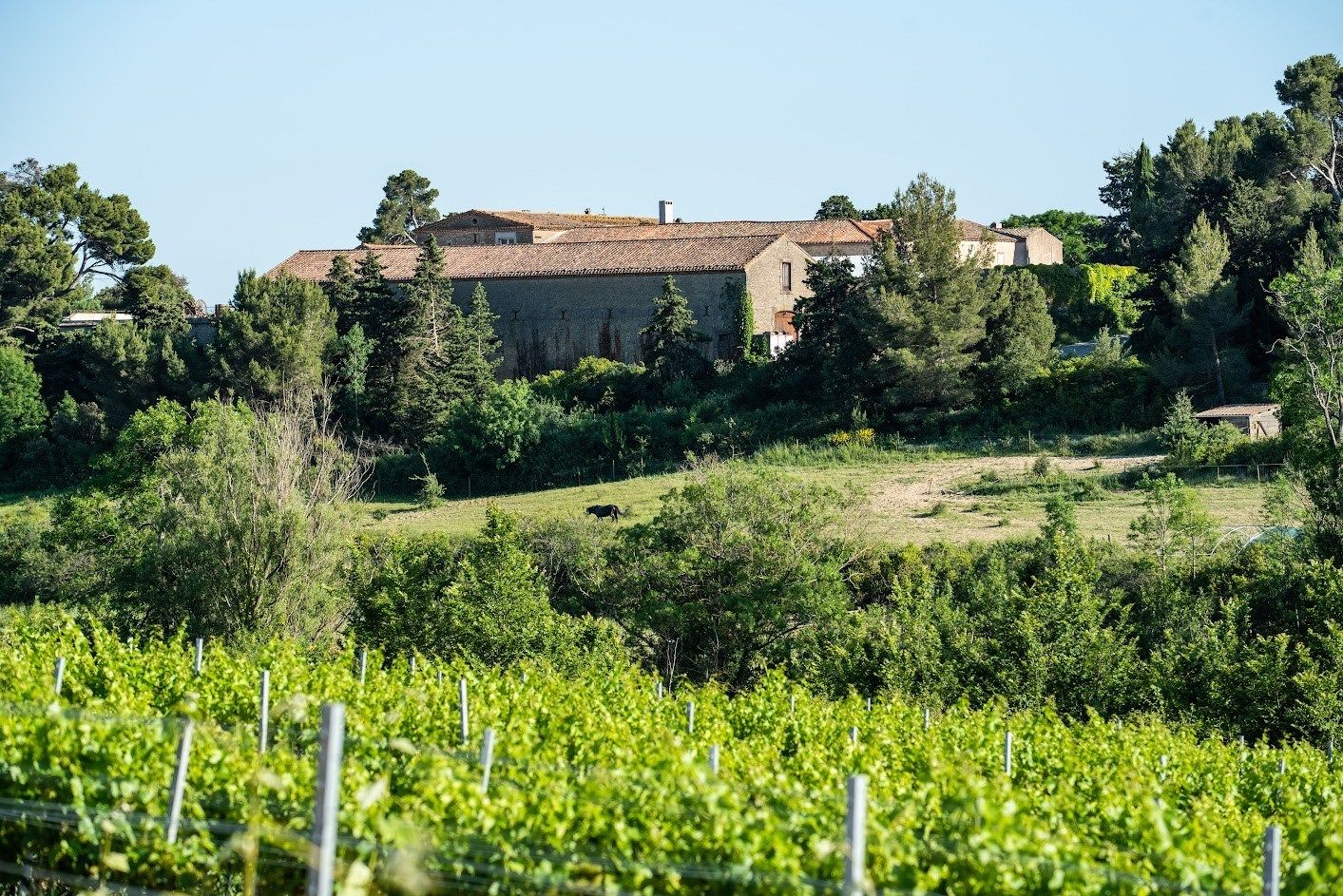 maison de luxe 27 Pièces en vente sur CARCASSONNE (11000)
