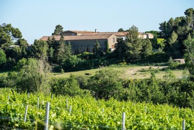 Vente Maison de luxe Carcassonne 27 Pièces 3000 m²