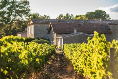 Vente Maison de luxe Carcassonne 27 Pièces 3000 m²