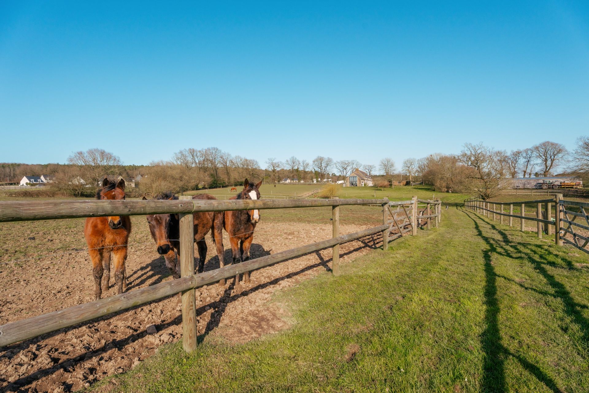 luxury house 9 Rooms for sale on PLAUDREN (56420)