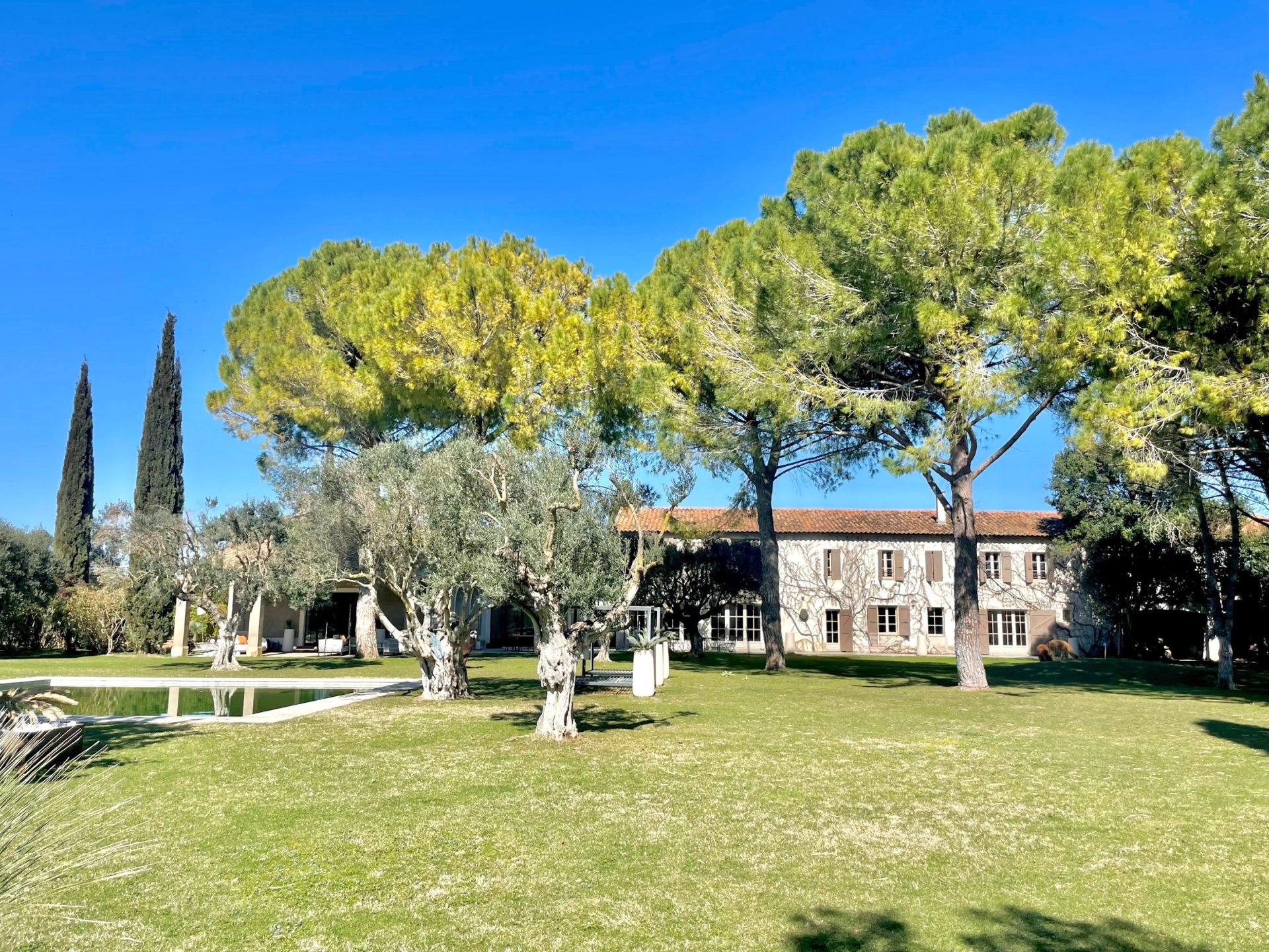 luxury property 14 Rooms for sale on MONTPELLIER (34000)