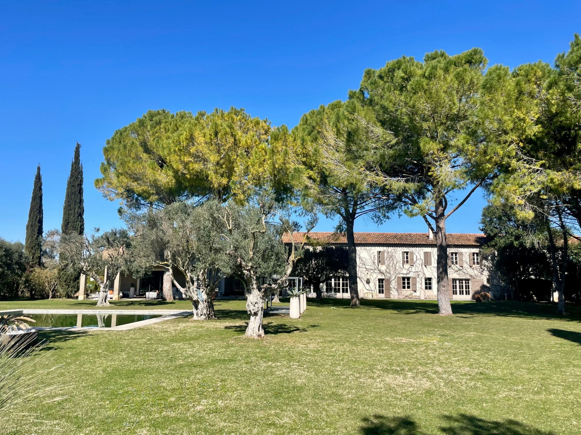 luxury property 14 Rooms for sale on MONTPELLIER (34000)