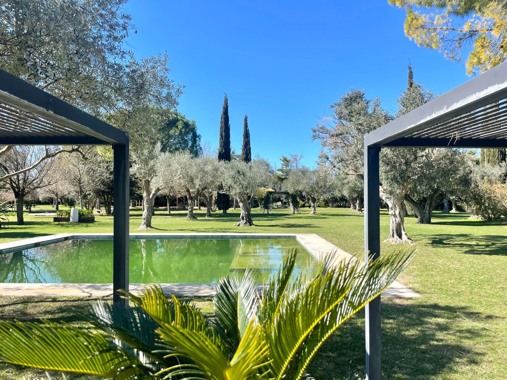 luxury property 14 Rooms for sale on MONTPELLIER (34000)