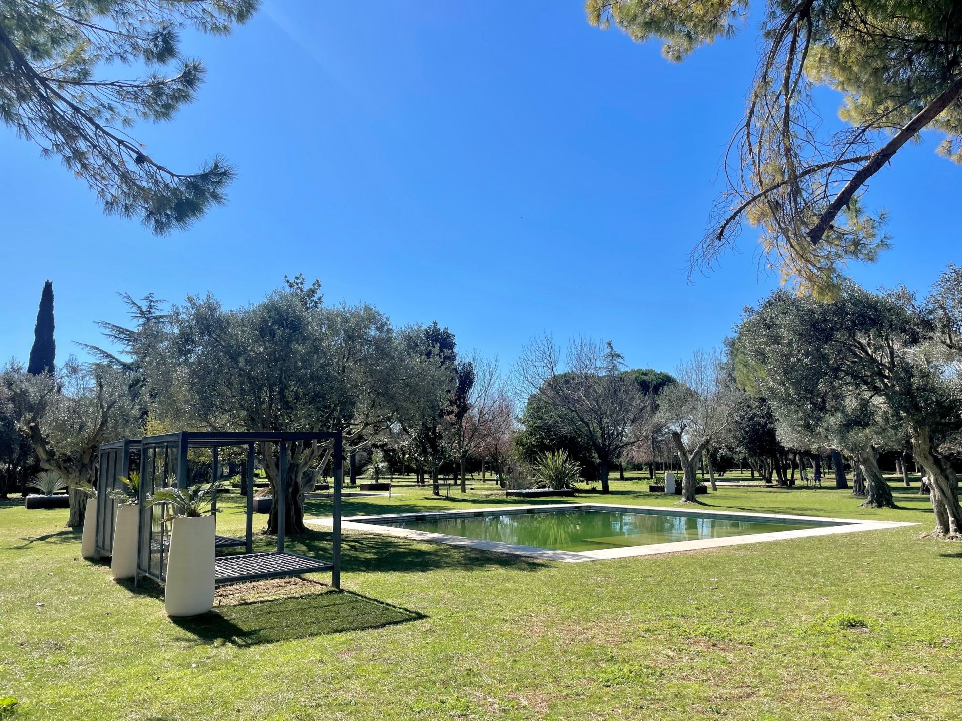 luxury property 14 Rooms for sale on MONTPELLIER (34000)