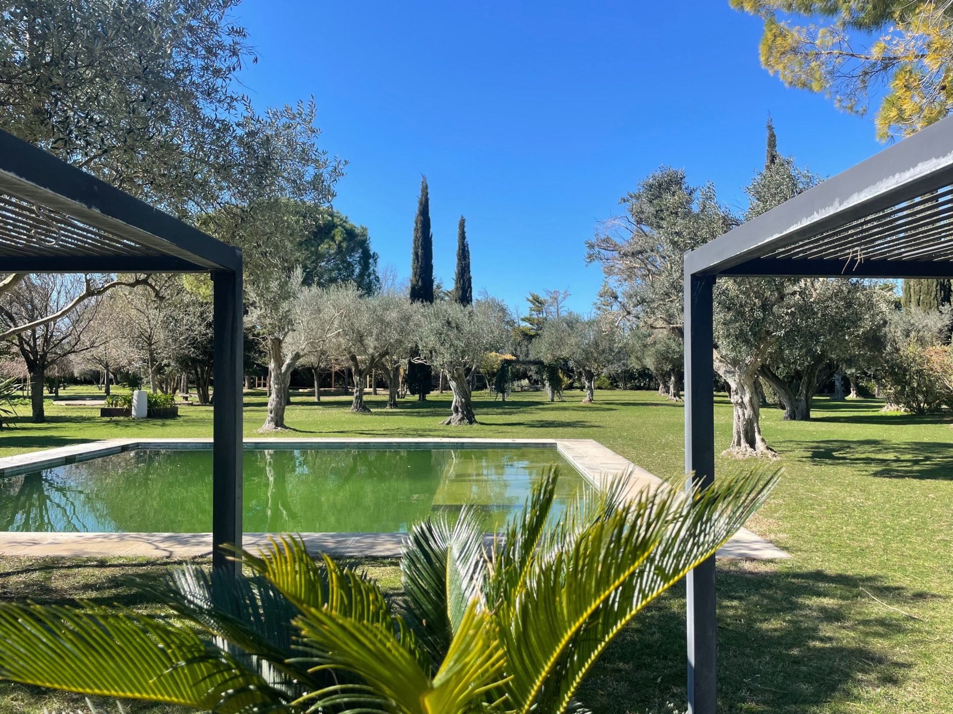 luxury property 14 Rooms for sale on MONTPELLIER (34000)