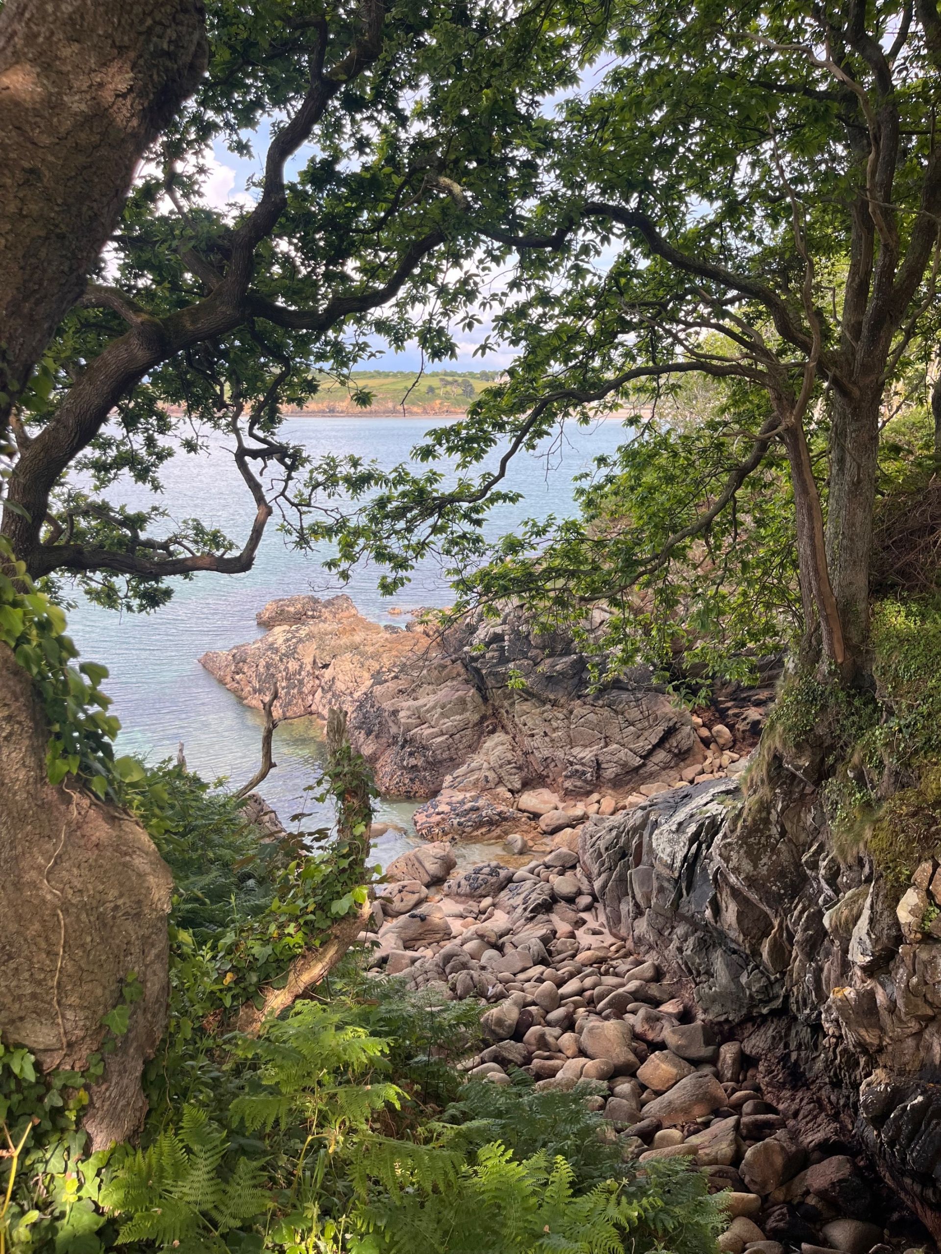 château 15 Pièces en vente sur DOUARNENEZ (29100)