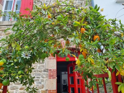 Vente Maison de luxe Île-aux-Moines 4 Pièces 80 m²