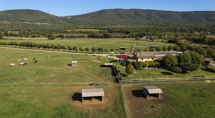 Vente Propriété équestre Ampus 4 Pièces 200 m²