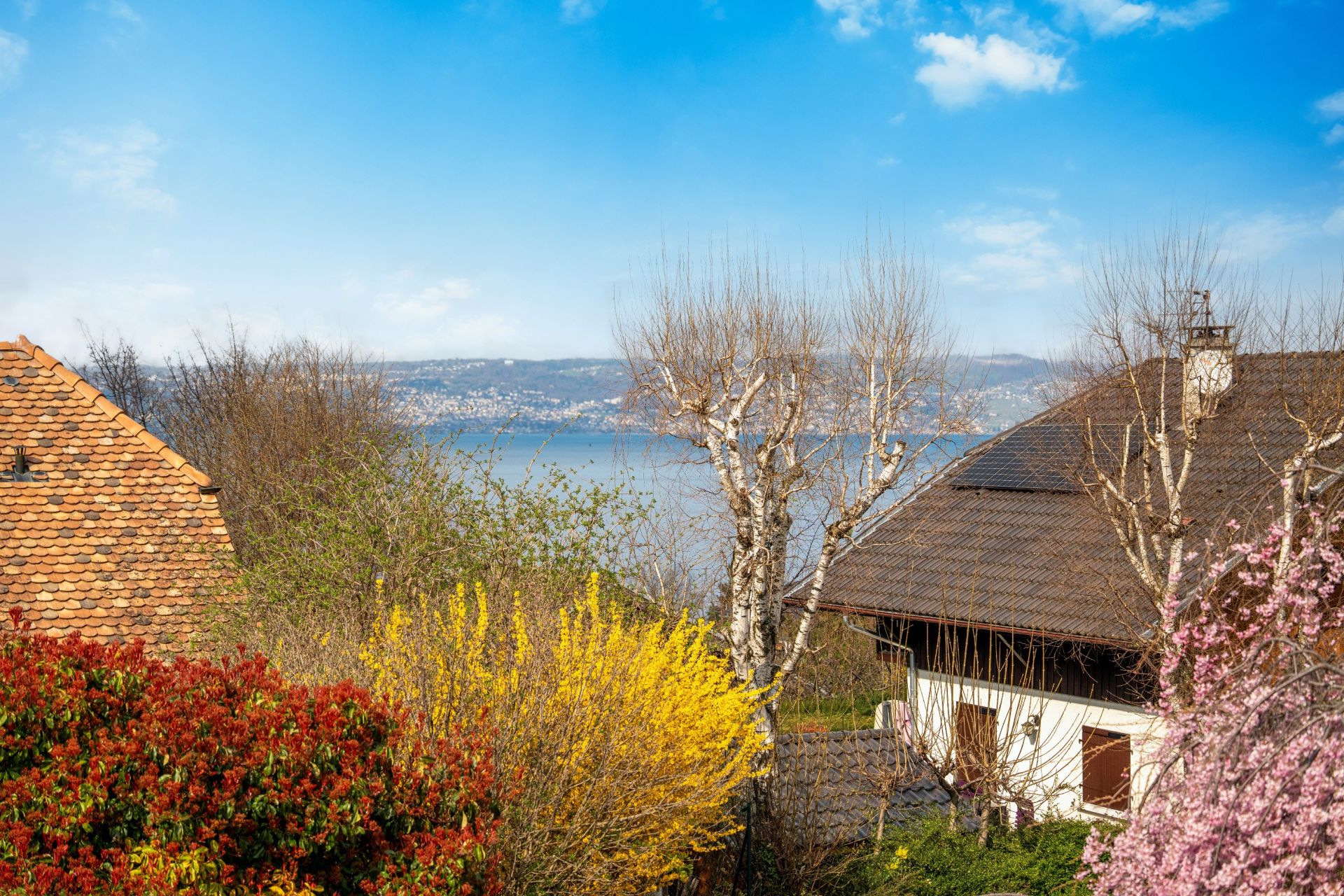 luxury house 8 Rooms for sale on NEUVECELLE (74500)