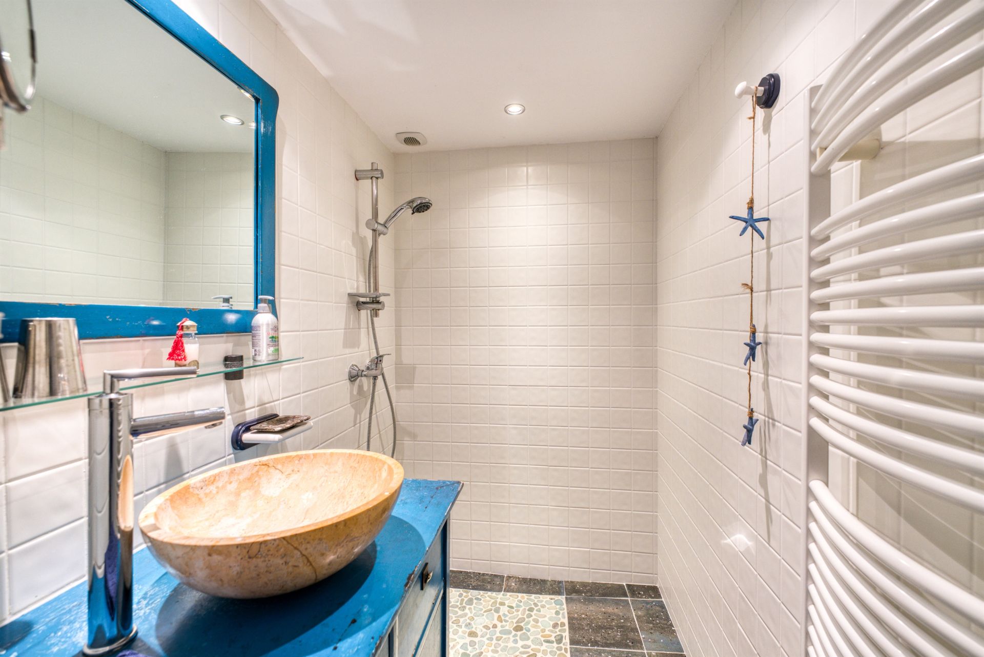 maison de luxe 12 Pièces en vente sur NIEULLE SUR SEUDRE (17600)