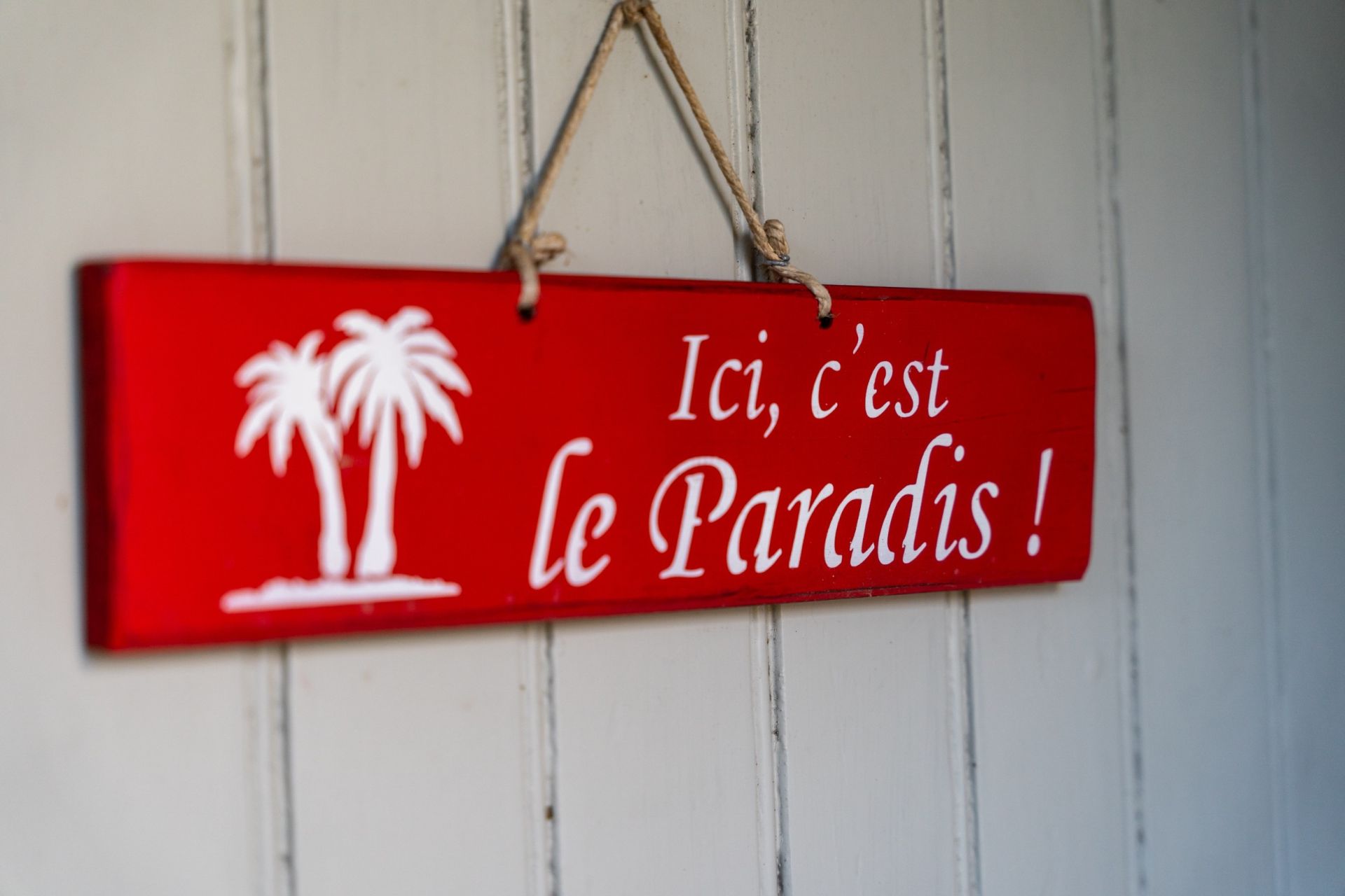 maison de luxe 12 Pièces en vente sur NIEULLE SUR SEUDRE (17600)