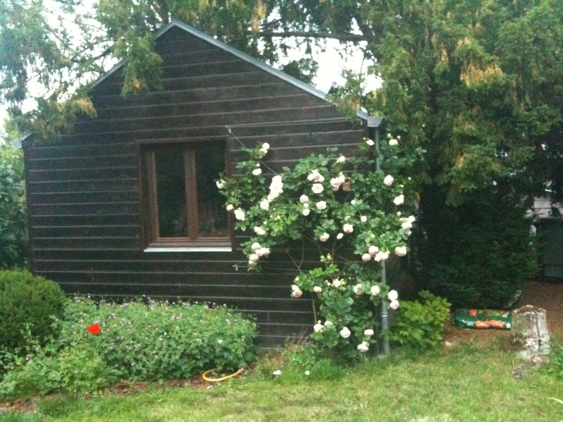 luxury house 6 Rooms for sale on ST AVERTIN (37550)