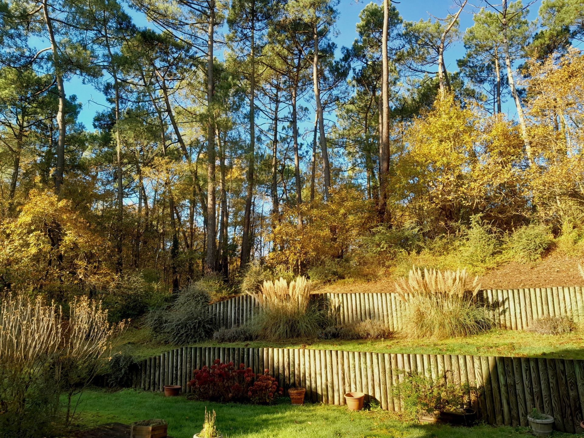 luxury house 7 Rooms for sale on LE TOUQUET PARIS PLAGE (62520)