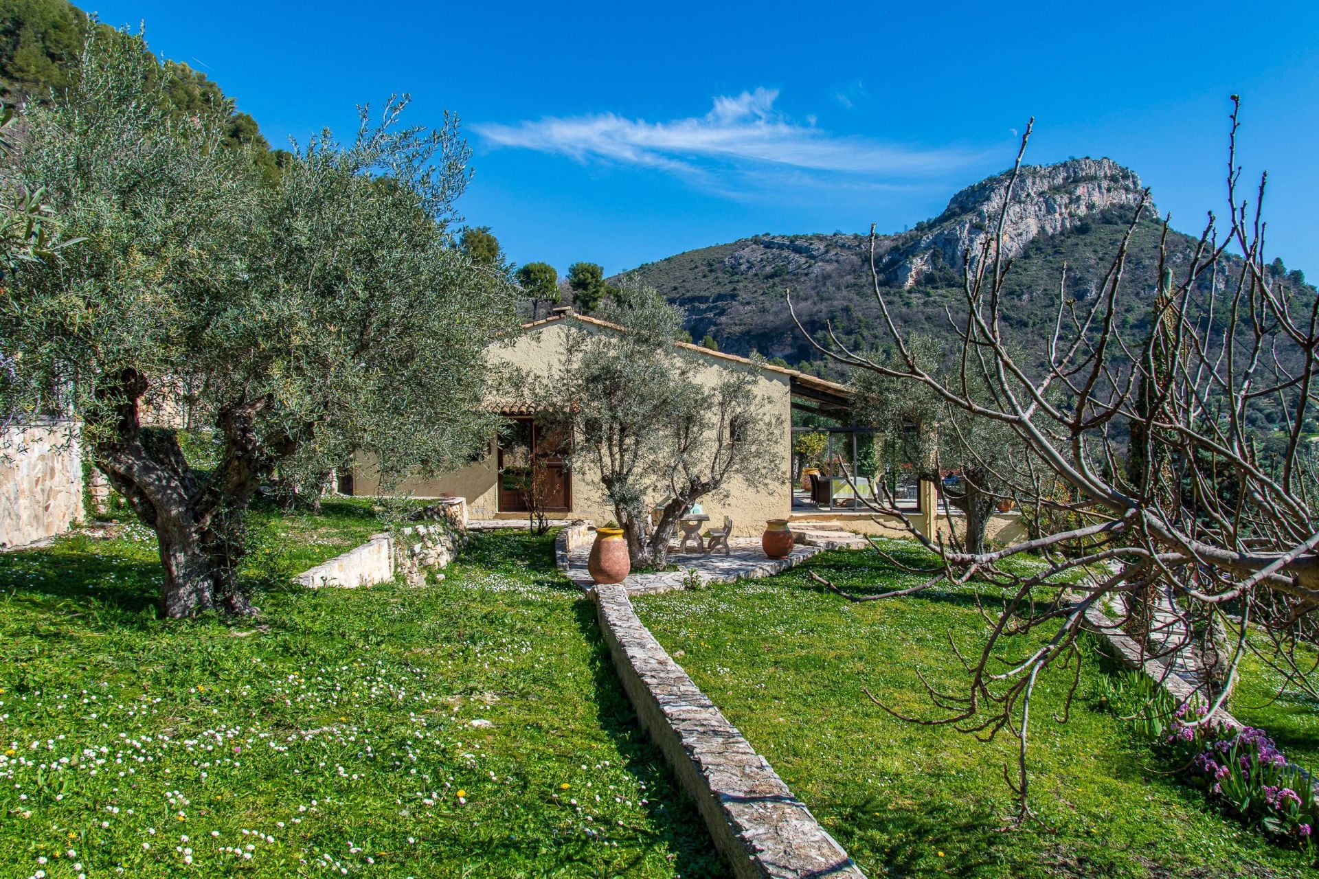 luxury provencale house 7 Rooms for sale on VENCE (06140)