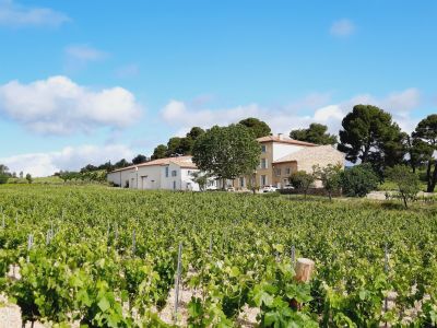 Sale Wine estate La Livinière 12 Rooms 2300 m²