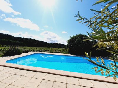 Sale Wine estate La Livinière 12 Rooms 2300 m²