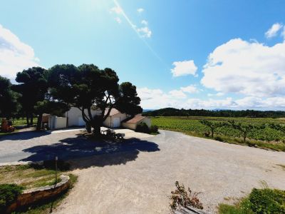 Sale Wine estate La Livinière 12 Rooms 2300 m²