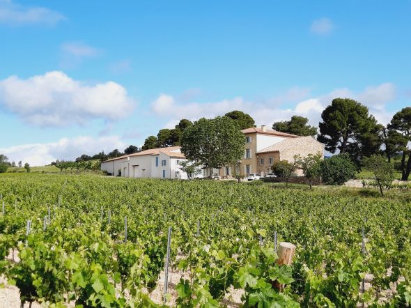 Sale Wine estate La Livinière 12 Rooms 2300 m²
