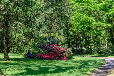 Vente Manoir Vannes 14 Pièces 550 m²