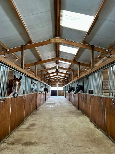 Sale Equestrian property Saint-Désir 6 Rooms 154 m²