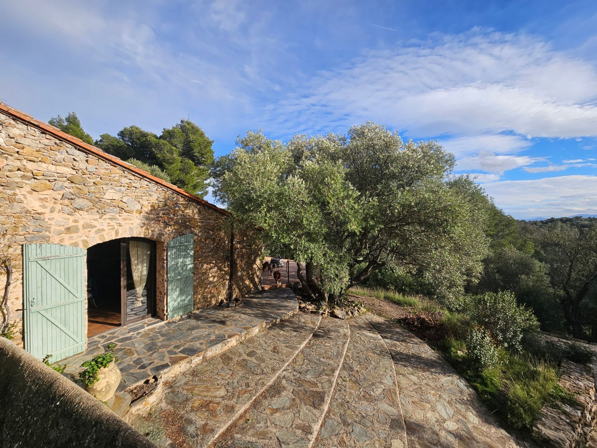 maison de luxe 7 Pièces en vente sur PERPIGNAN (66000)