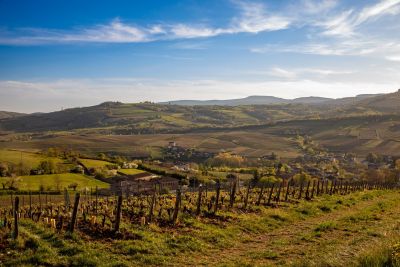 Vente Maison de luxe Solutré-Pouilly 10 Pièces 350 m²