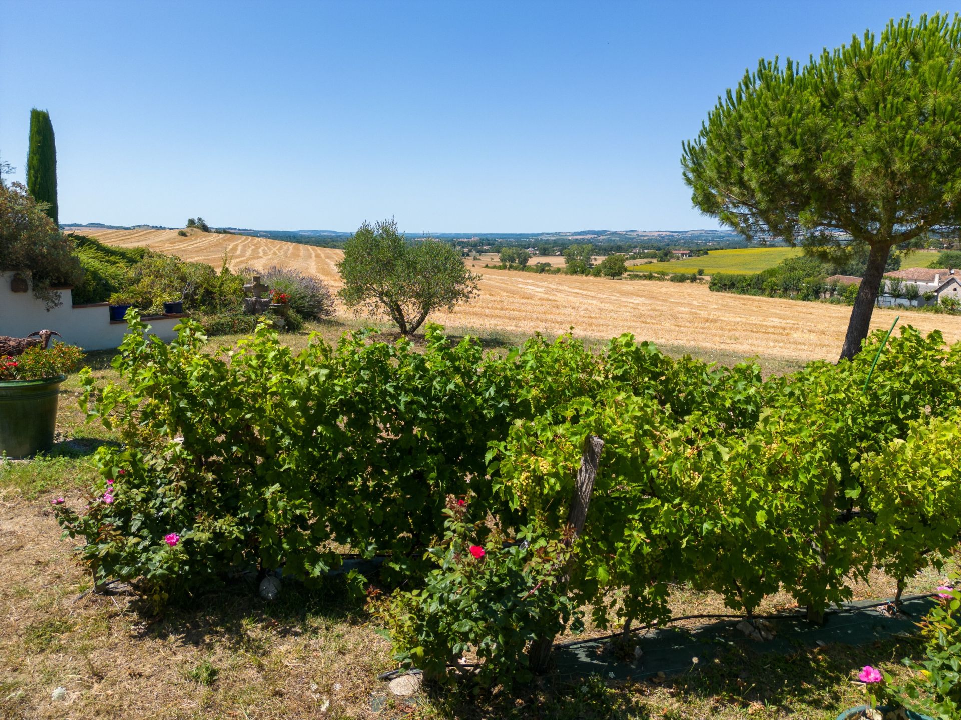 luxury house 7 Rooms for sale on LAVAUR (81500)