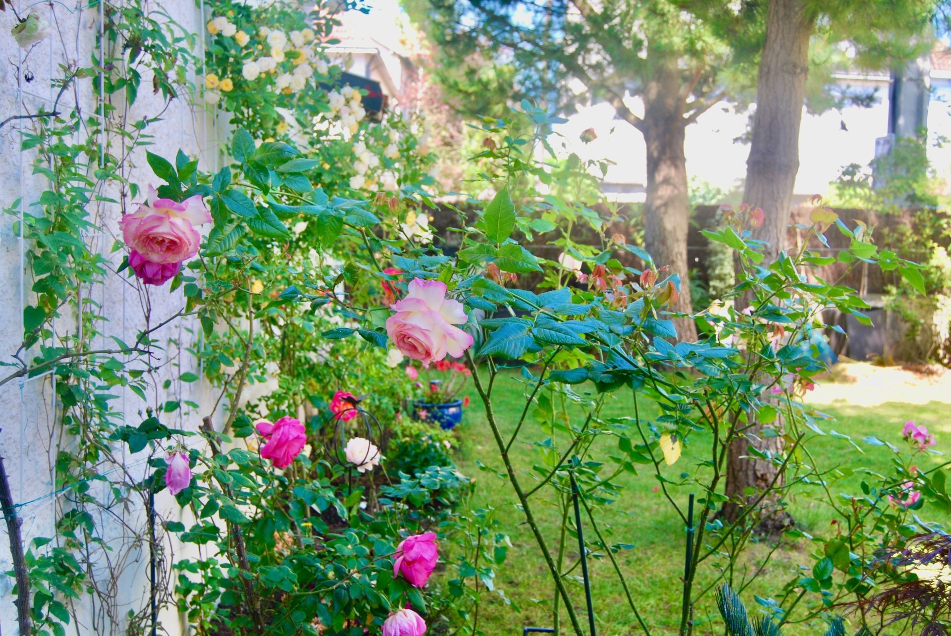 maison de luxe 8 Pièces en vente sur LA BAULE (44500)