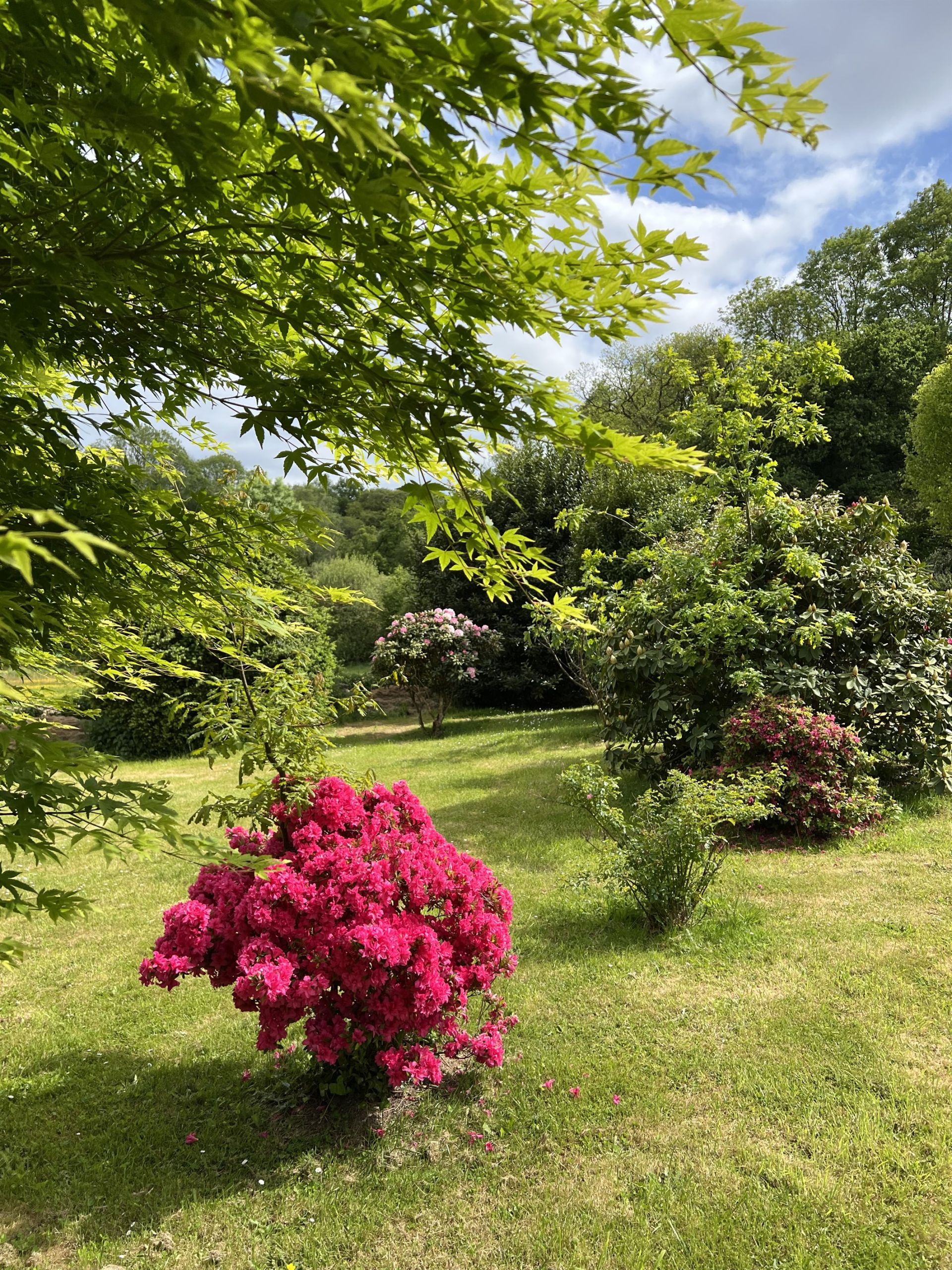 propriété de luxe 7 Pièces en vente sur QUIMPER (29000)