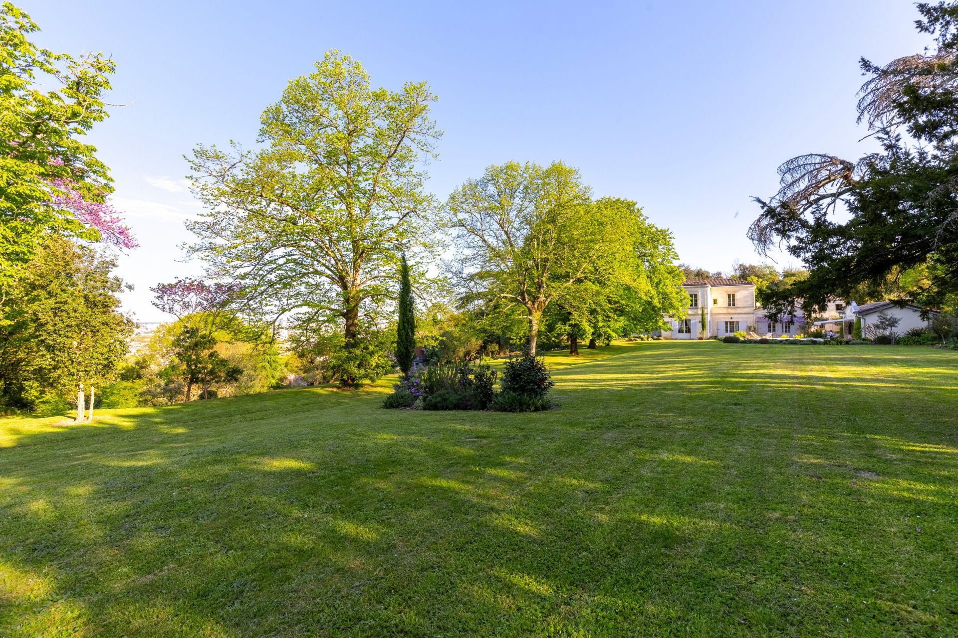 propriété de luxe 12 Pièces en vente sur BORDEAUX (33000)