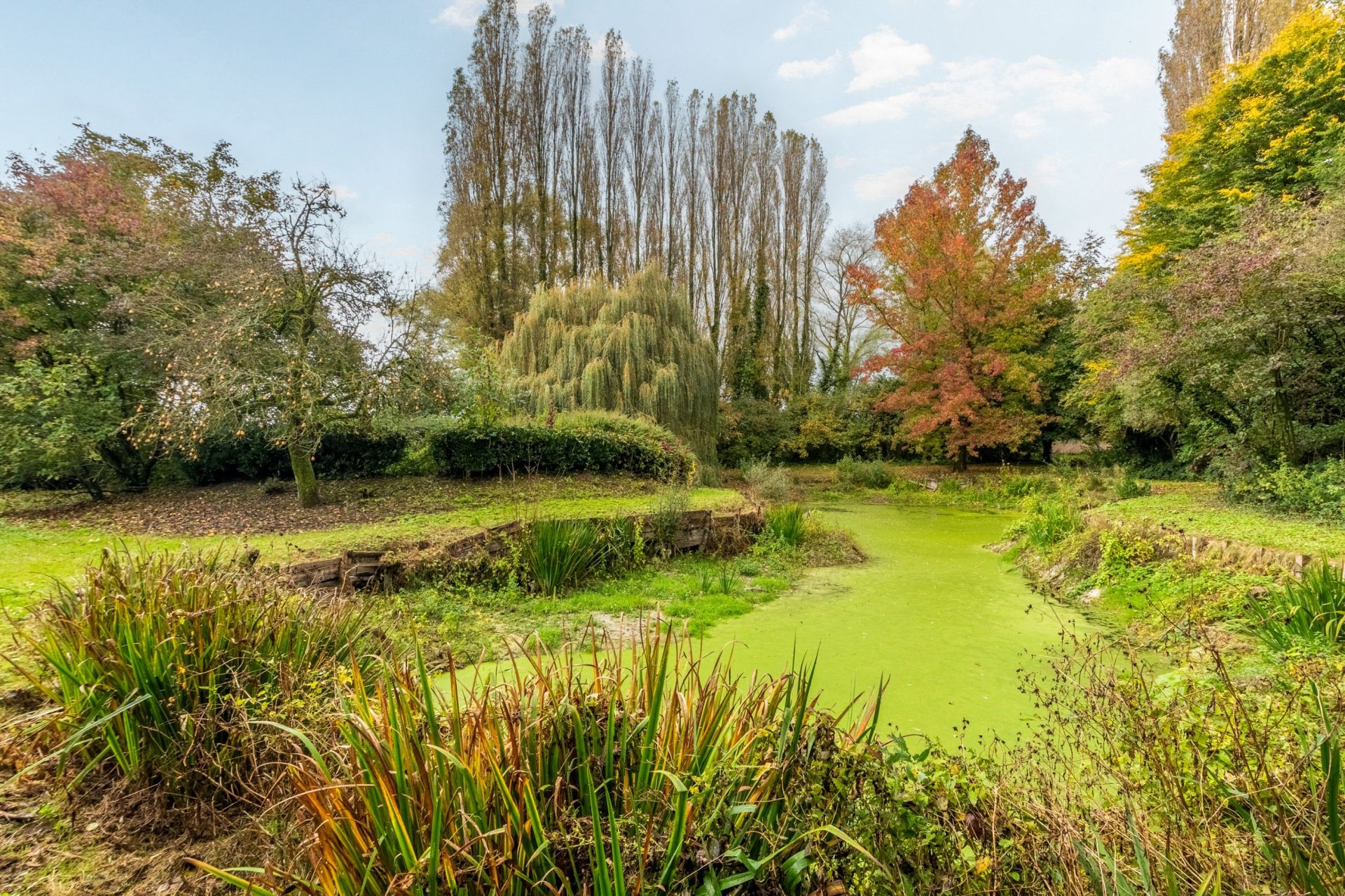 luxury house 17 Rooms for sale on BONDUES (59910)