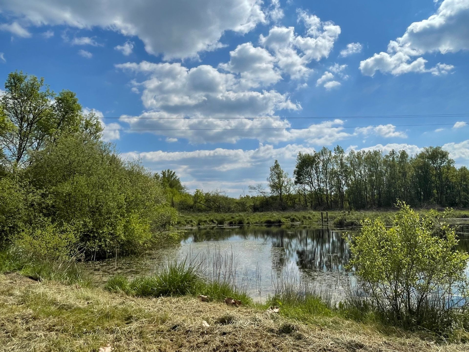 luxury property of hunting 15 Rooms for sale on ROMORANTIN LANTHENAY (41200)