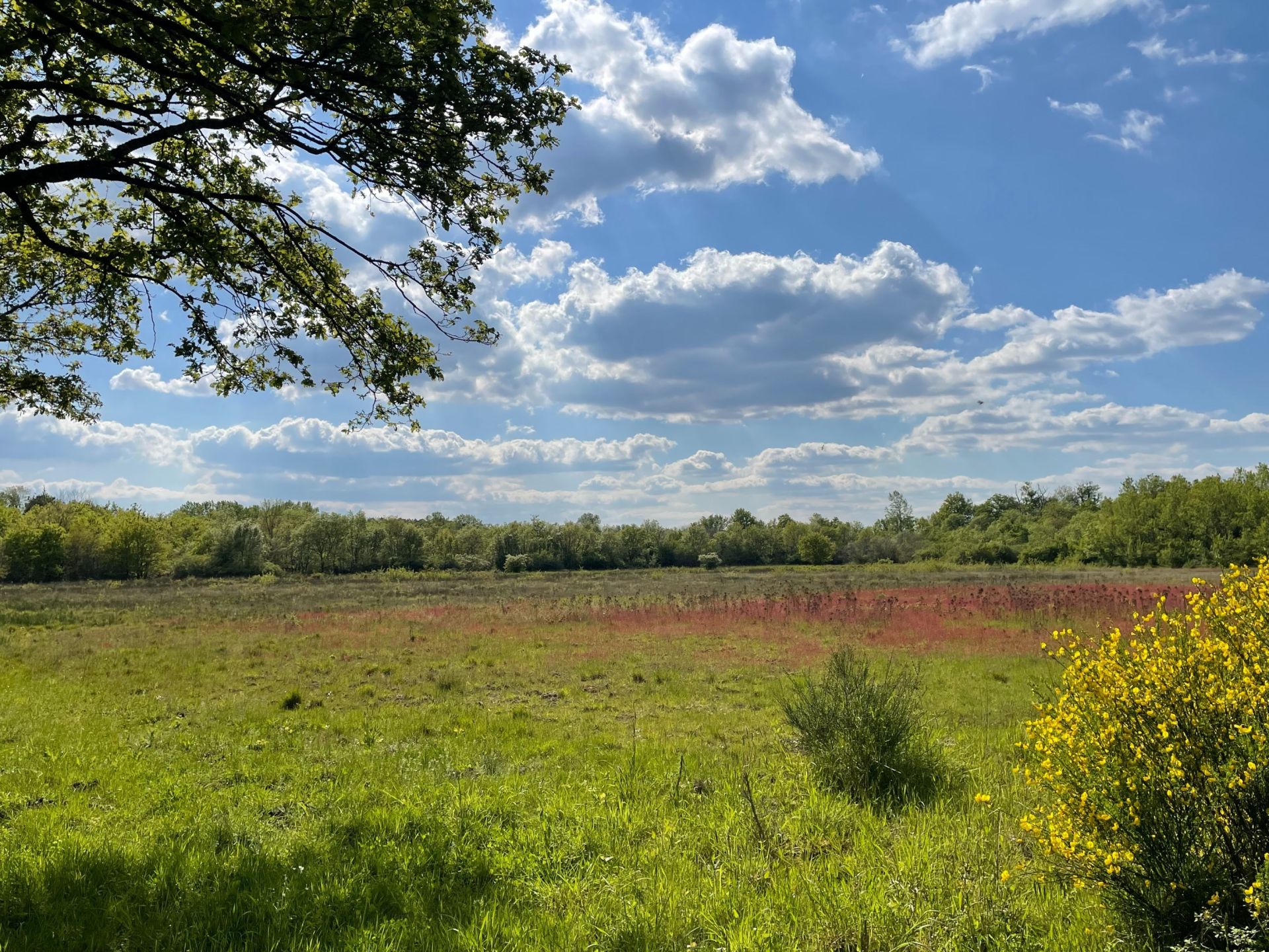 propriété de chasse de luxe 15 Pièces en vente sur ROMORANTIN LANTHENAY (41200)