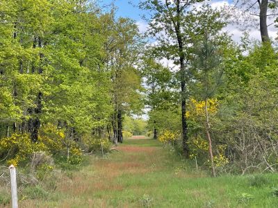 Vente Propriété de chasse de luxe Romorantin-Lanthenay 15&nbsp;Pièces 530&nbsp;m²