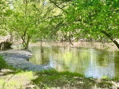 Sale Luxury property of hunting Romorantin-Lanthenay 15 Rooms 530 m²