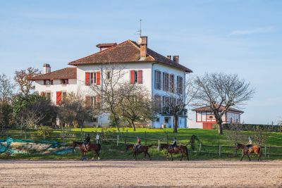 Sale Equestrian property Urrugne 18&nbsp;Rooms 750&nbsp;m²