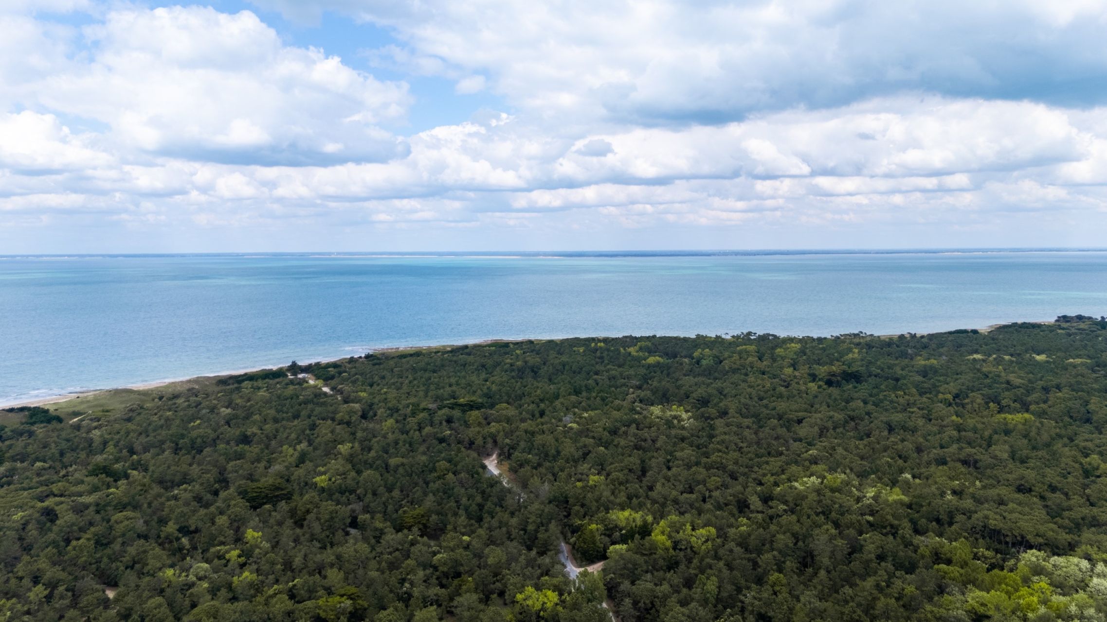 maison de luxe 6 Pièces en vente sur LES PORTES EN RE (17880)