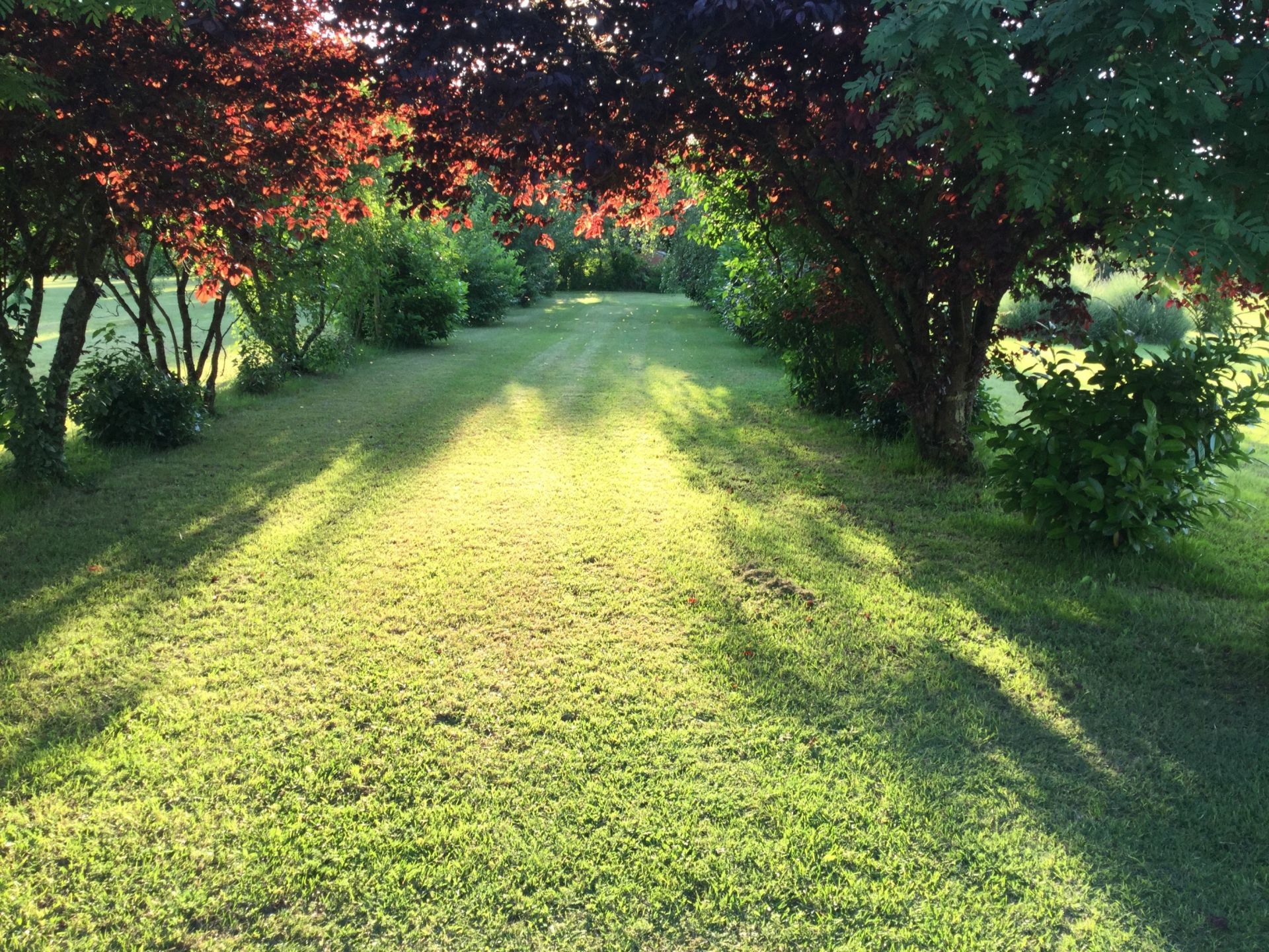 luxury house 8 Rooms for sale on ST DIZANT DU GUA (17240)