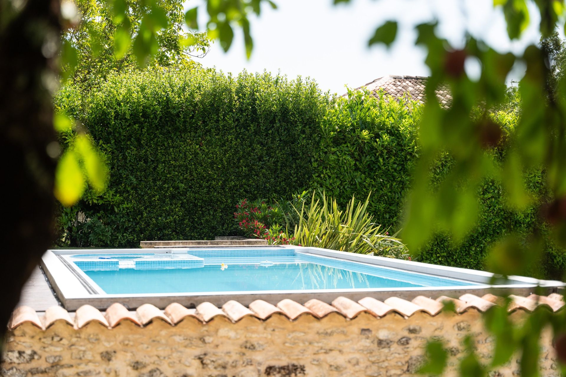 maison de luxe 8 Pièces en vente sur ST DIZANT DU GUA (17240)