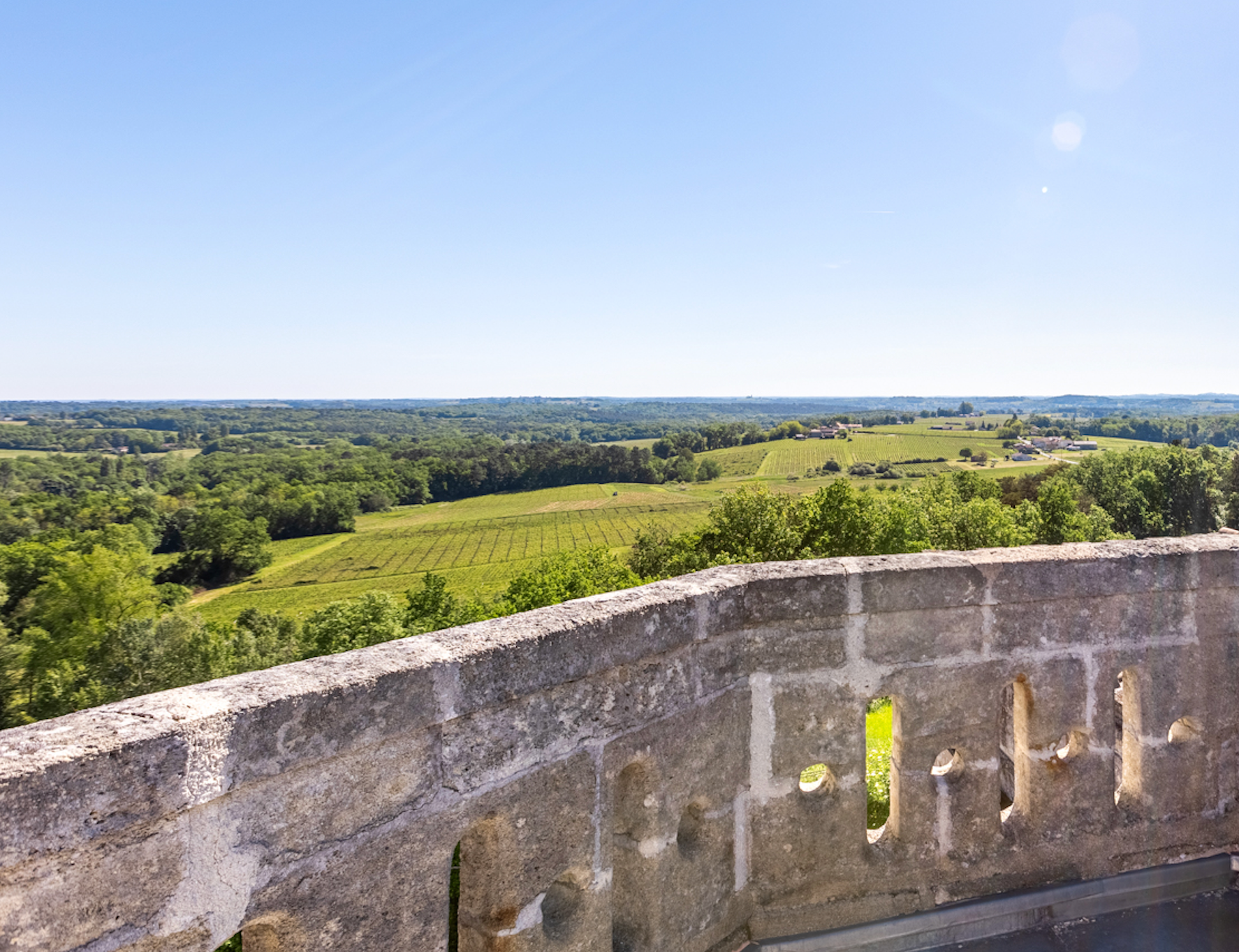 propriété de luxe 8 Pièces en vente sur ST EMILION (33330)