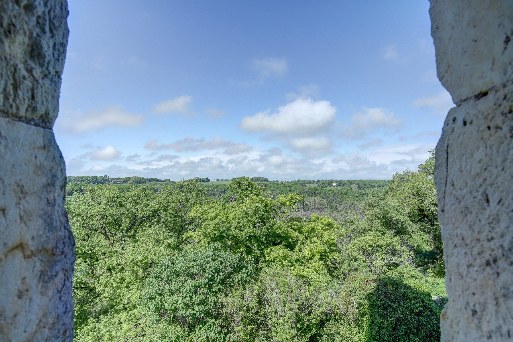 château 12 Pièces en vente sur CORDES SUR CIEL (81170)