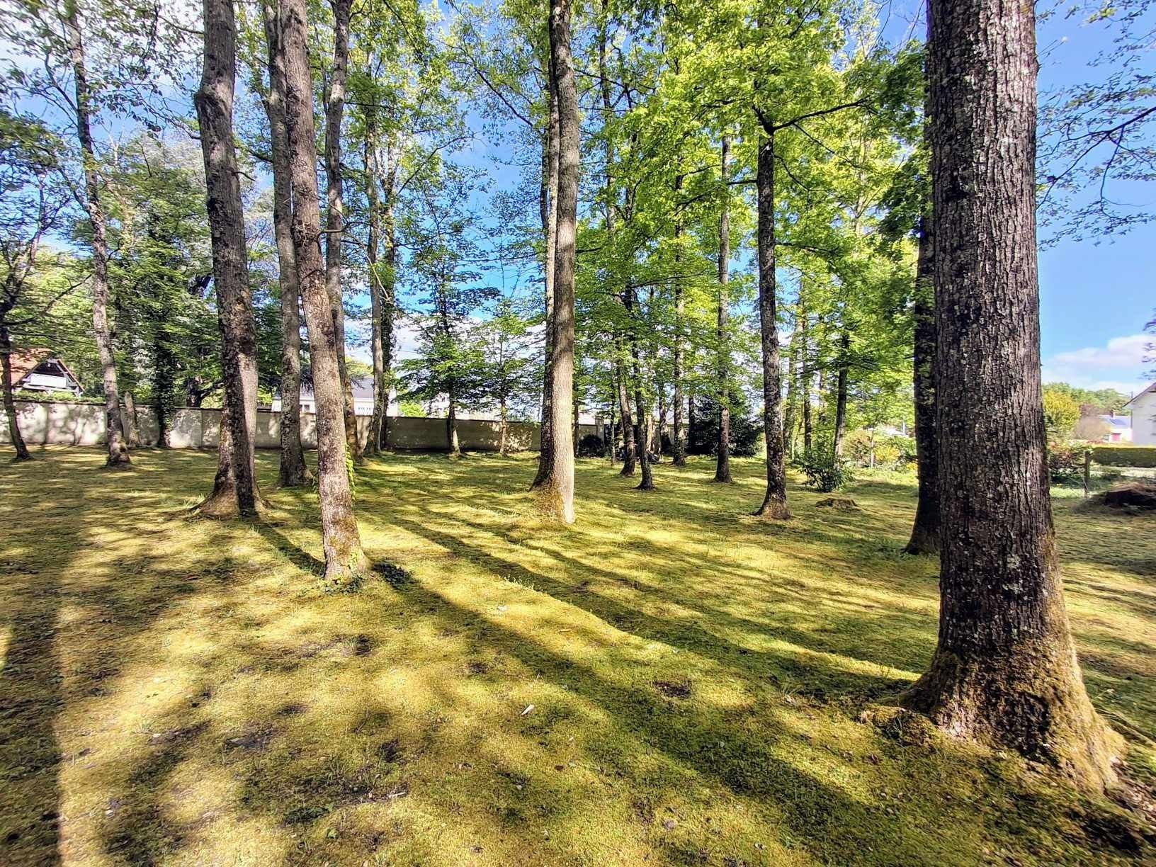 maison de luxe 7 Pièces en vente sur SAVONNIERES (37510)