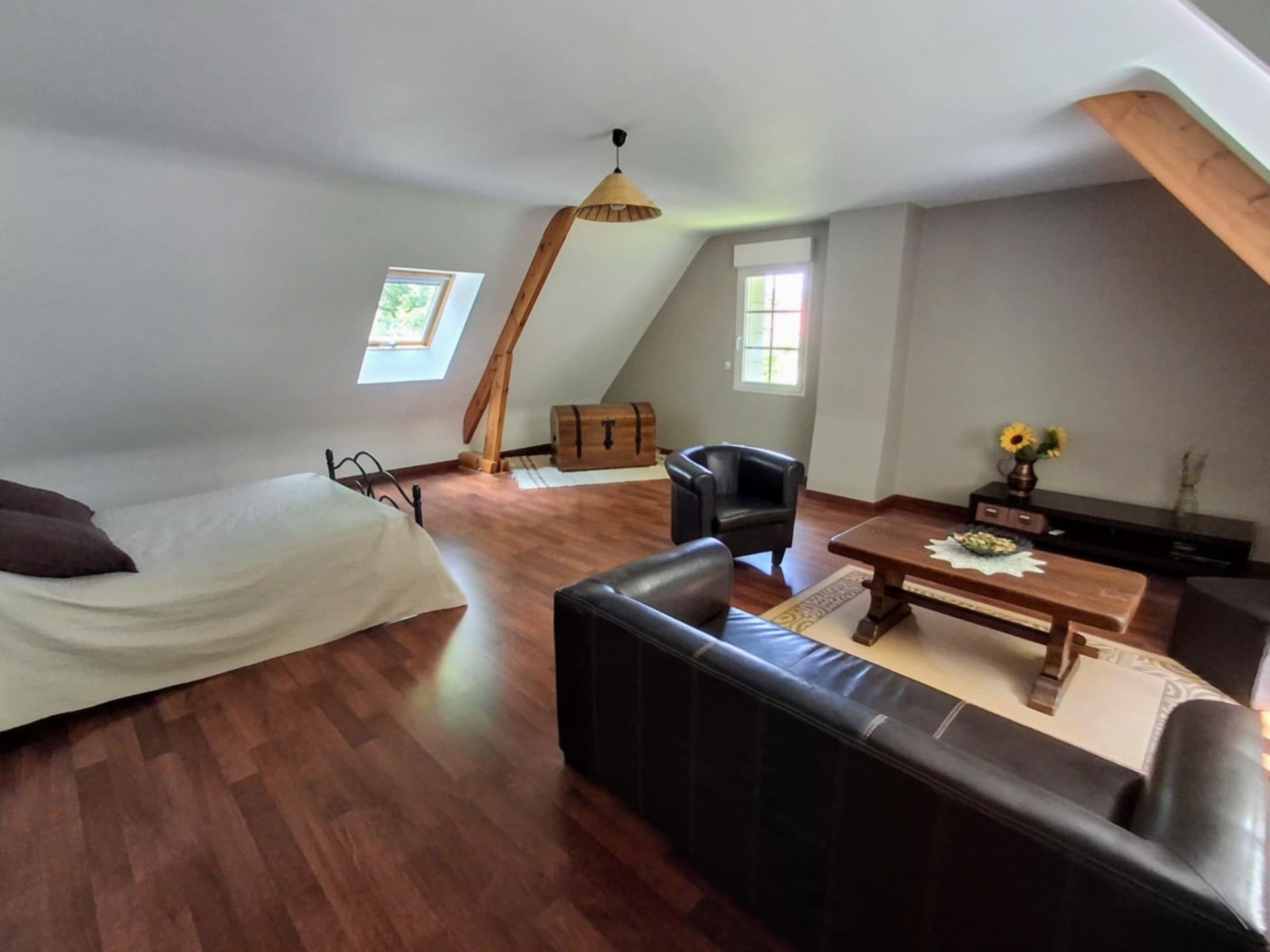 maison de luxe 7 Pièces en vente sur SAVONNIERES (37510)