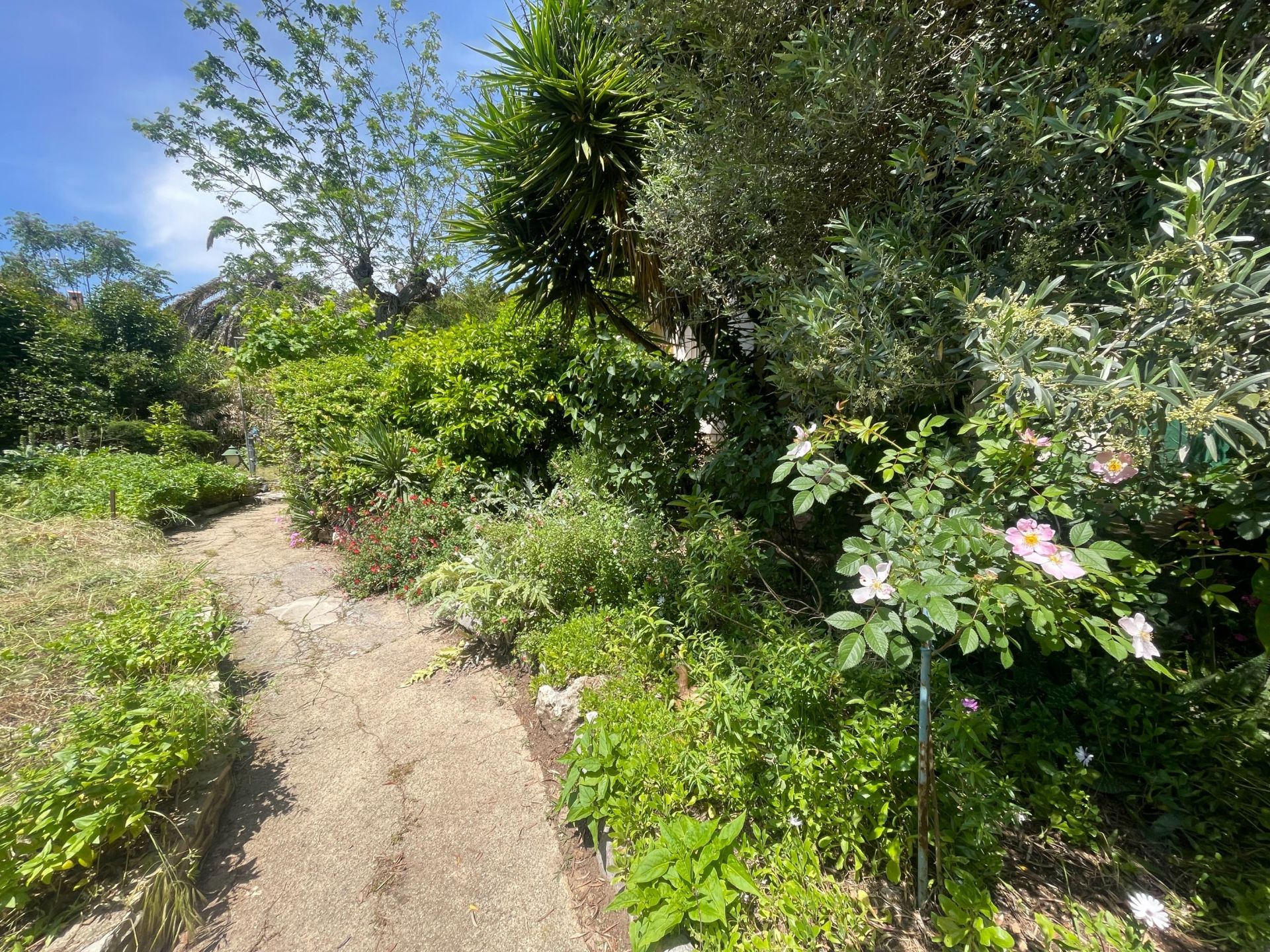 luxury house 6 Rooms for sale on SETE (34200)