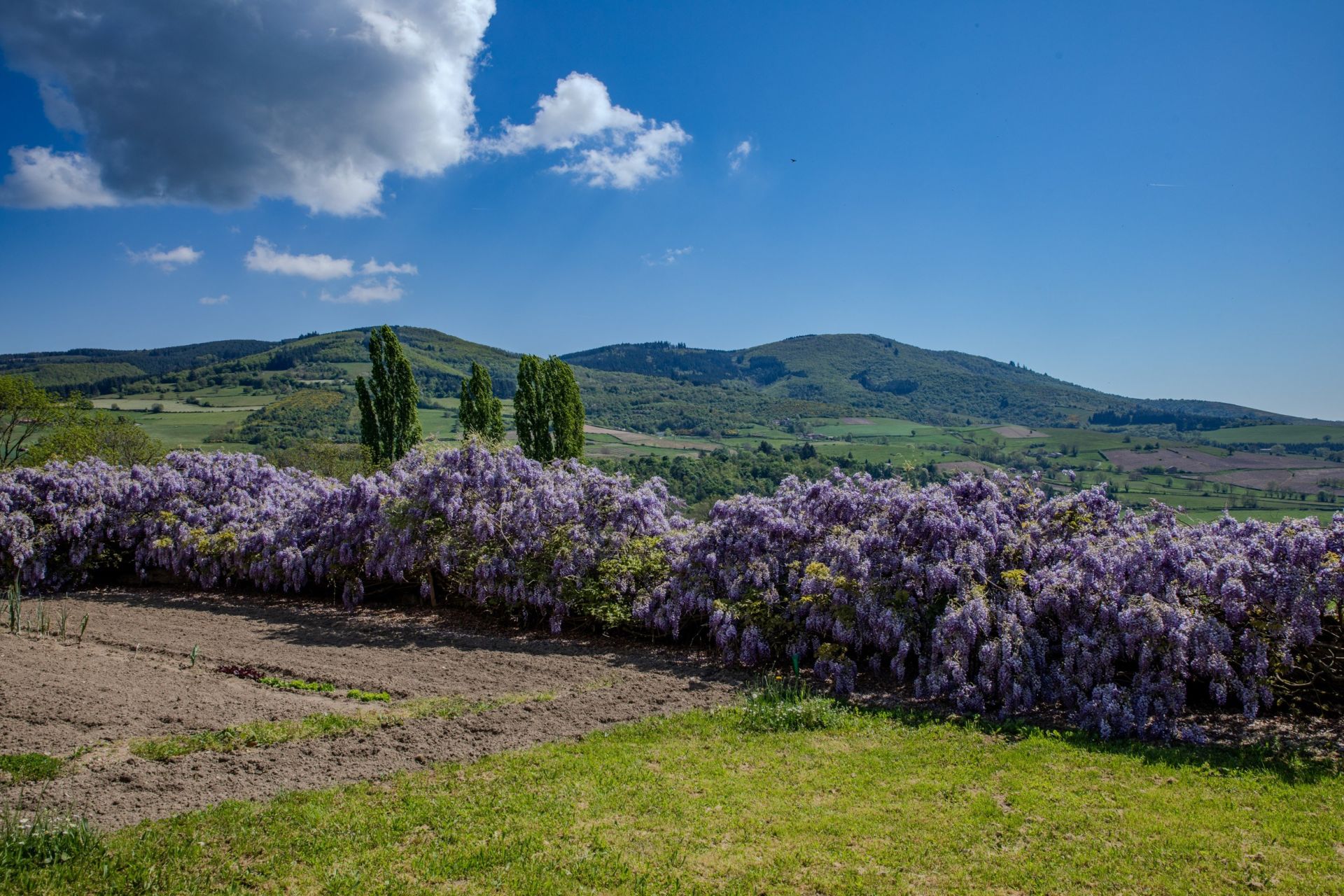 farm complex 22 Rooms for sale on LES ARDILLATS (69430)