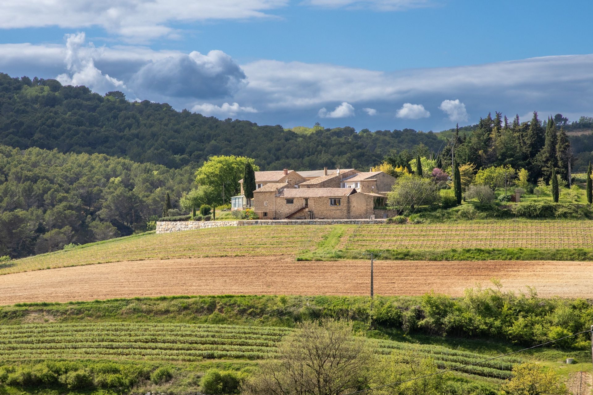 maison provençale de luxe 15 Pièces en vente sur NYONS (26110)