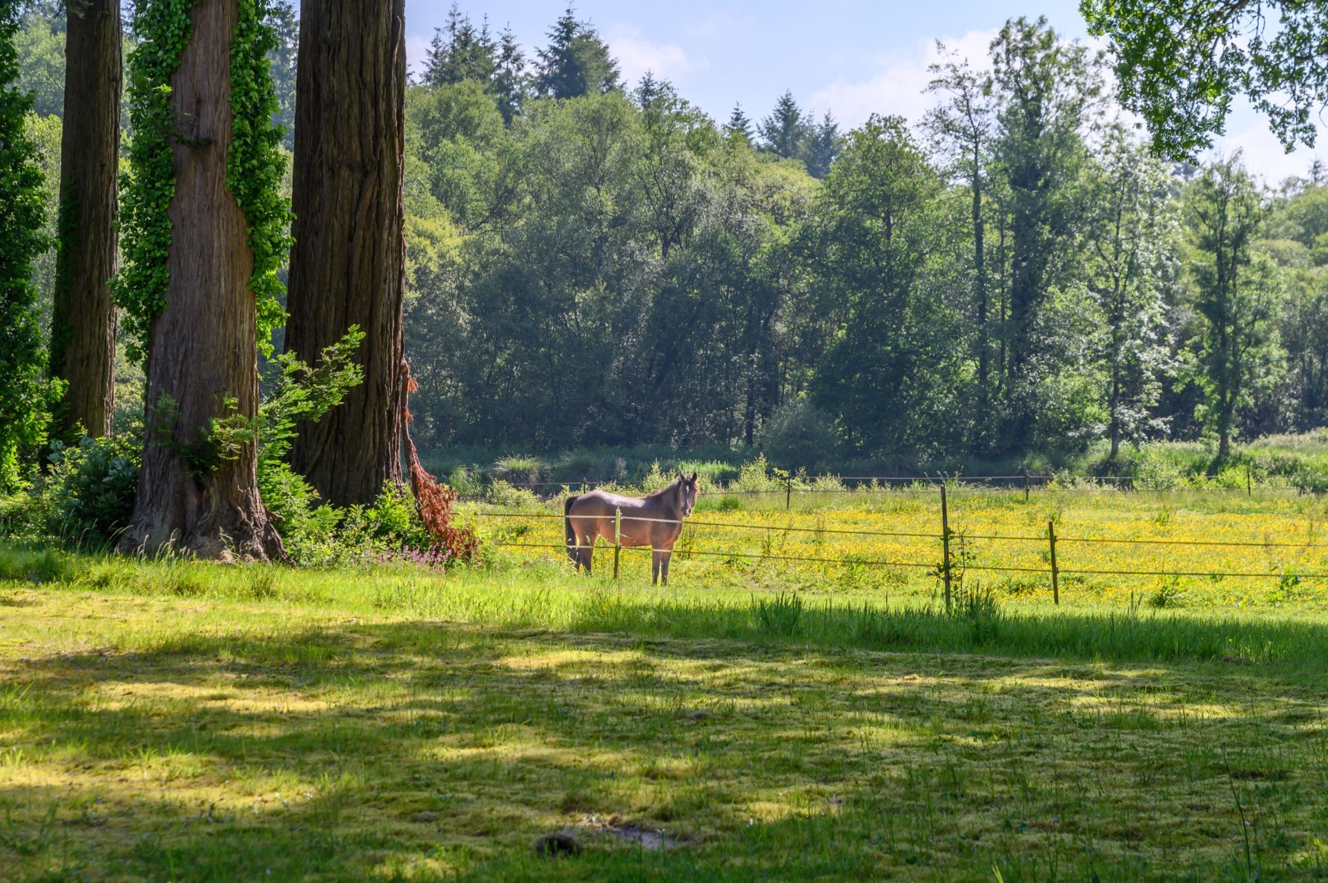 castle 28 Rooms for sale on GUEMENE SUR SCORFF (56160)