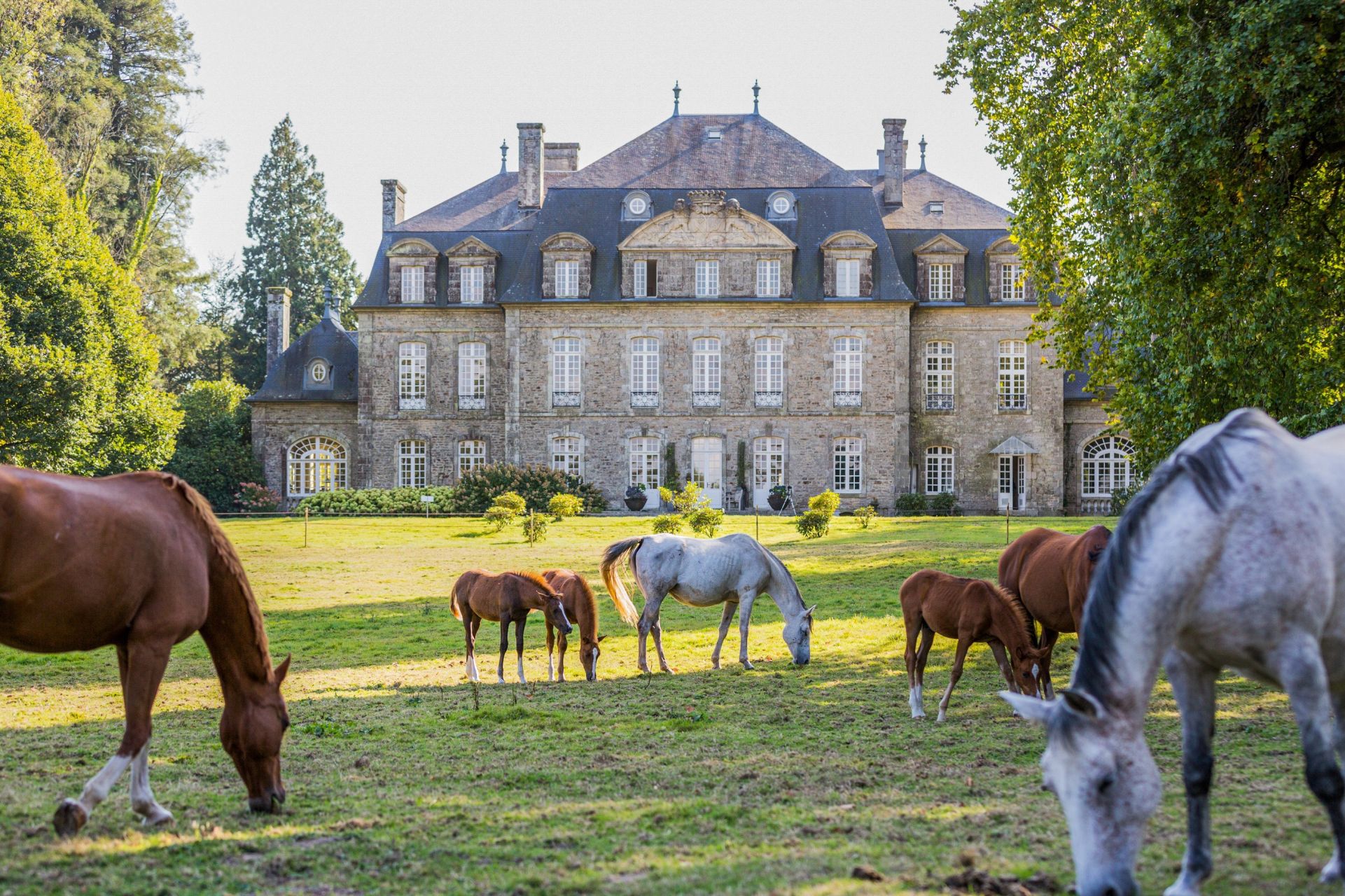 castle 28 Rooms for sale on GUEMENE SUR SCORFF (56160)