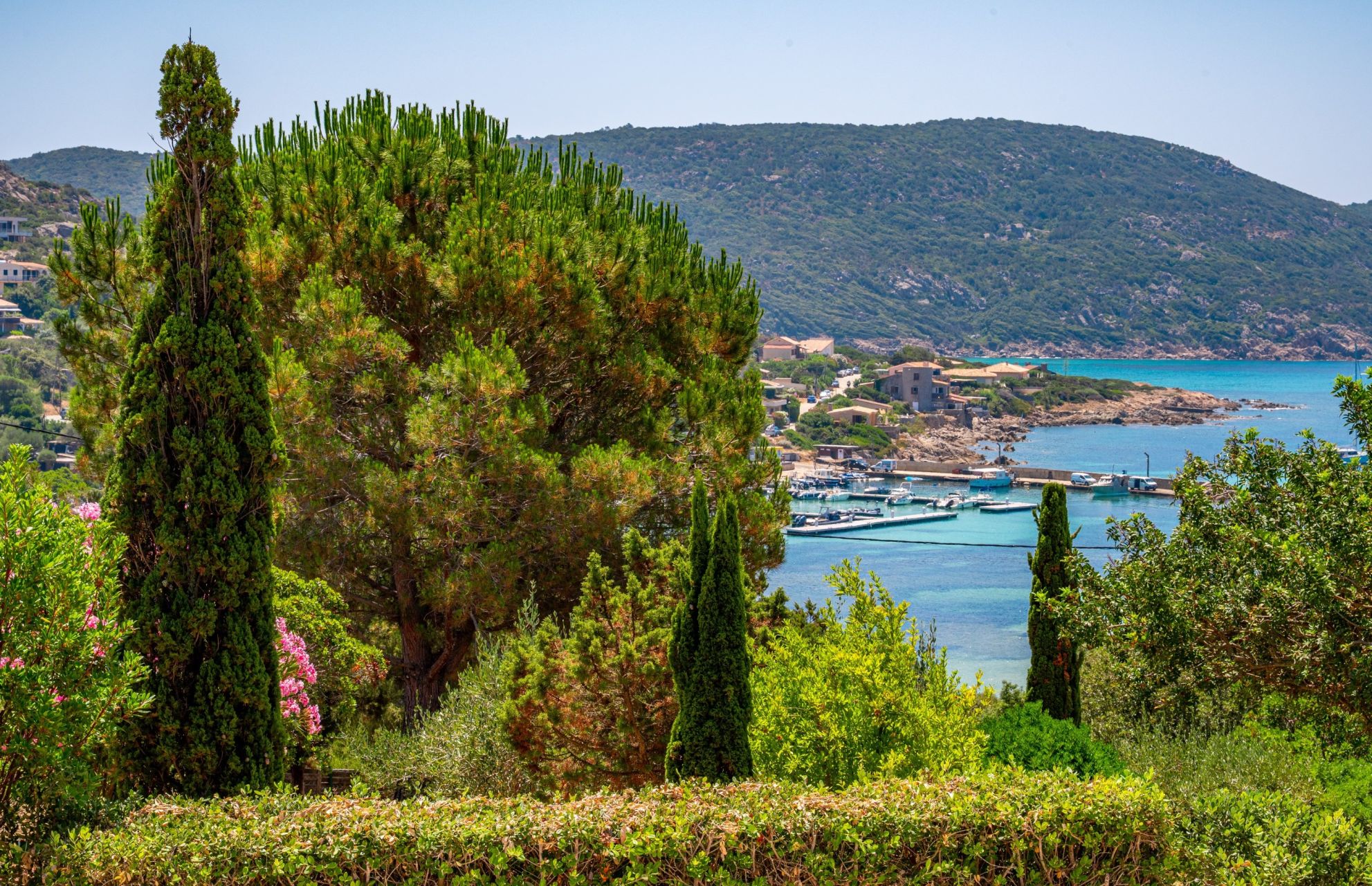 luxury villa 7 Rooms for sale on SARTENE (20100)